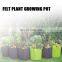 colorful colors felt planter fabric grow bags flower pots