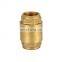 Swing Brass Check Valve