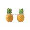 pineapple shaped salt and pepper shaker kitchen containers