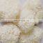 Dried snow fungus/Wholesales snow fungus from Vietnam