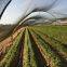 Sunshade Net Shade Net for Agriculture Shade Sails Enclosure Nets Protection UV Outdoor HDPE 50-150GSM