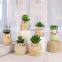 Home Decor Artificial Plant Faux Artificial Plastic Gree Mini Succulent Plants With Owl Animal Pot