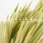 2016 factory  express china bbq bamboo skewers bulk