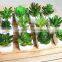 Potted Artificial Mini Succulent Plant for Home Decorations / Garden Decorations