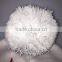 acrylis embroidery custom beaie hat with top ball