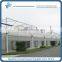Large Gothic Agricutural Greenhouse