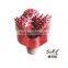 API Standard IADC 537 Tricone Bit/Roller Cone Bit/9 1/2" Tricone Drill Bit for Oil Well Drilling