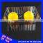 Flexible Plastic Packaging for Orange Mango Longan Leechee