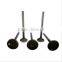 intake/exhaust valve for cars
