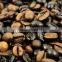 Roasted Coffee Bean from India - Best Competitive Price