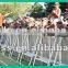folding barricade Economic aluminum crash barrier concert barricade