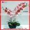 Real Touch Artificial Orchid Plant Wholesale Artificial Silk Flowers