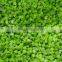IQF frozen kiwi diced with good quality for sale
