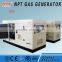 ISO CE approved 10-500kW LPG power generation plants