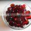 Wholesale Decor Clear Fashion Glass Gems