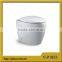 1053 Sanitary Ware Modern Toilet Bowl