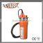 Sailflo 4''12v solar power water pump brushness motor irrigation