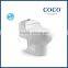 bathroom sanitary ware siphonic one piece wc spy toilet cam
