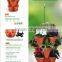 Plastic Stackable terracotta flower pot
