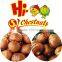 ROASTED RINGENT CHESTNUTS SNACKS Healthy Nuts Snacks For Sale