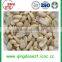 New crop 2016 Chinese factory blanched peanut kernel