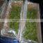 2016 Frozen salted wakame stem cut Other name	Shredded wa Frozen newly 2015