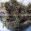Valerian Root Powder Extract From GMP Certified Factory