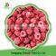 2016 new crop Frozen Raspberry with high quality and best price