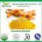 Curcumin 95% Factory Supply Turmeric Extract