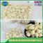 Fresh peeled garlic for sale,low price
