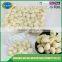 Factory peeled garlic price
