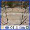 professional galvanized or PVC coated horse fence from Chinese factory