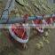 broiler chicken rate poultry farming for broiler