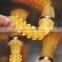 high quality machine cleaning feather in poultry chicken pigeon duck broiler feather plucker