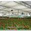 professional float/tempered agricultural galss greenhouse (ISO9001:2000)