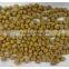China good supplier good quality soya protein machine line