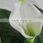 SJ300927 High quality PU common callas flowers for indoor deforative