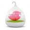 Dimmable Lamp 3d Bird LED Night Light with Rotary Handle and Battery,in Indoors and Outdoors Color Pink