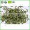 High-grade and nutritious green tea / easy to use made in China