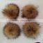 Raccoon fur pom poms For Hat / Garment / Key Chain/Shoes