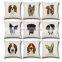 Custom Manufacturer Print Animal Cover Pillow from China