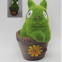 flocking solar  frog setting pieces Fashionable Polyresin Garden Decoration Soalr Light   frog  season  lights owl