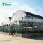 Agricultural greenhouse hot sale commercial film cover greenhouse,plastic film greenhouse