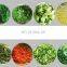Industrial vegetable and fruit cutting machine / leaf vegetable cutter