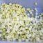 lemon grass cutting machine fruit and vegetable slicing machine
