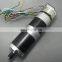 Customized high torque 12v 24v 36v 48v dc gear motor, power 100w 200w 300w