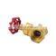 1/2 Inch DN25 Pn16 Female Thread NPT Brass Gate Valve 200 WOG
