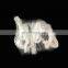Junchi half recycle good price black short fiber pp polypropylene staple fiber