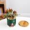 Nordic Simple Christmas Round Green Plant Ceramic Flower Pot Garden Decoration