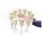 Party Festival holiday supplies Acrylic Champagne Flute Suspension Serving Tray